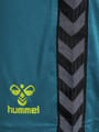 hmlAUTHENTIC PL SHORTS