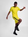 hmlAUTHENTIC PL SHORTS
