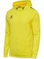hmlAUTHENTIC PL HOODIE