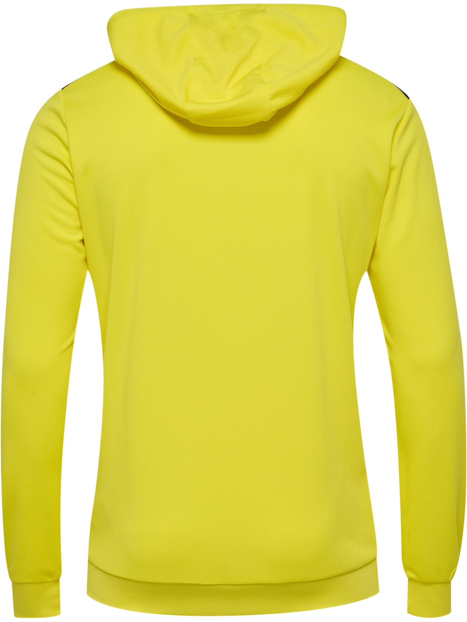 hmlAUTHENTIC PL HOODIE