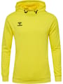 hmlAUTHENTIC PL HOODIE