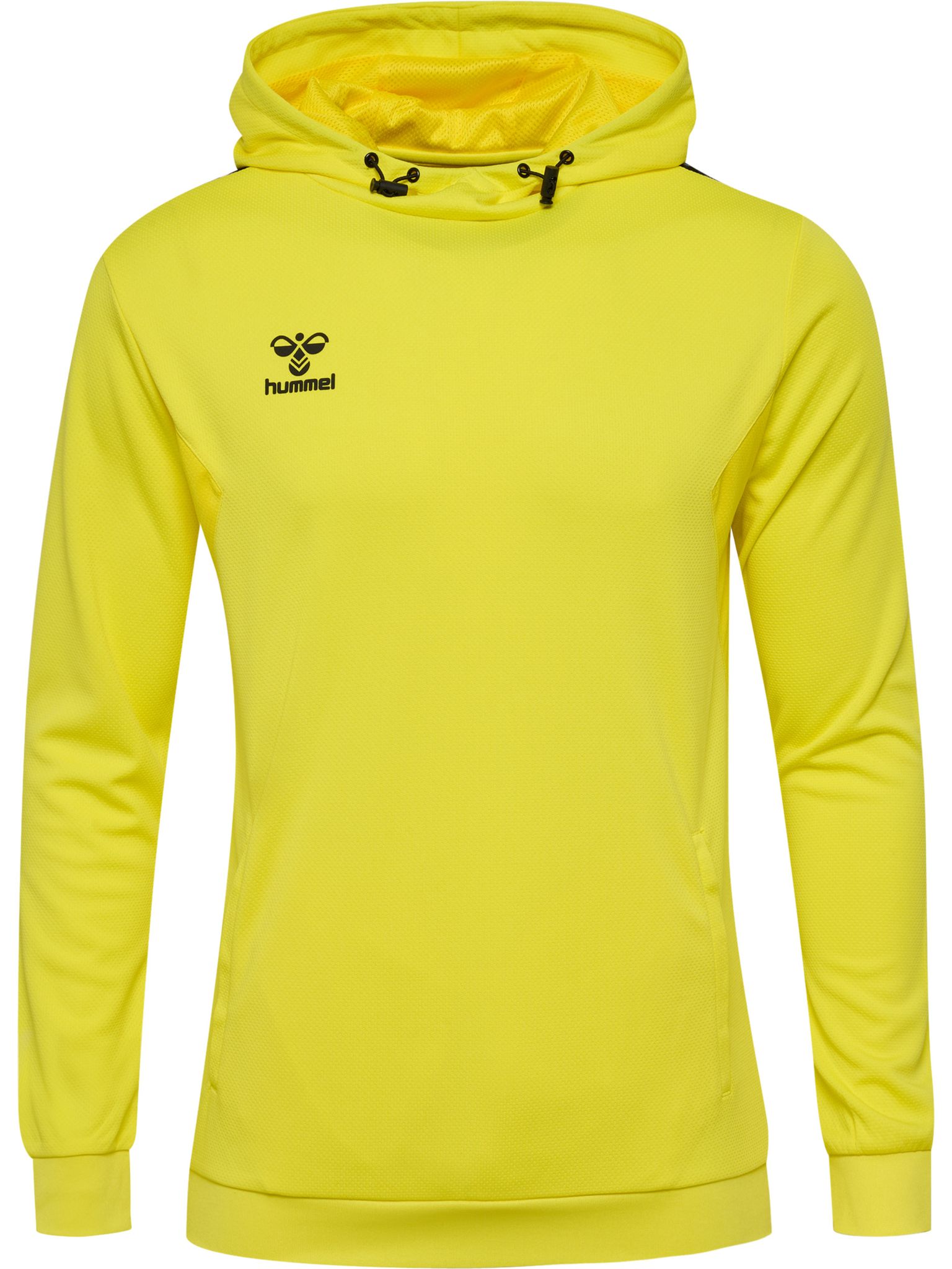 hmlAUTHENTIC PL HOODIE