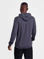 hmlAUTHENTIC PL HOODIE