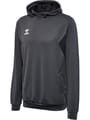 hmlAUTHENTIC PL HOODIE