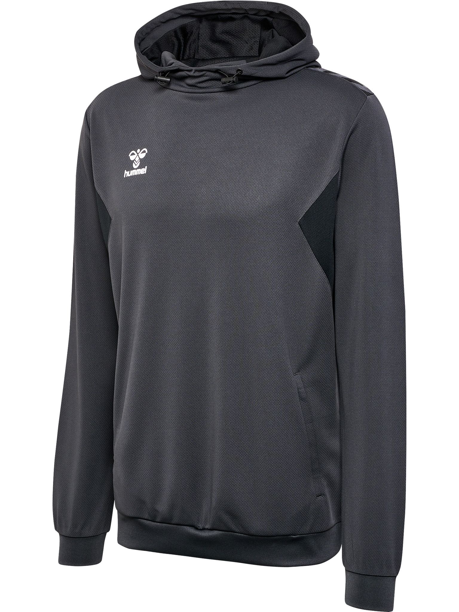 hmlAUTHENTIC PL HOODIE