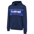 hmlLGC JULIAN HOODIE
