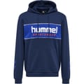hmlLGC JULIAN HOODIE