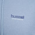 hmlLGC GABE HOODIE