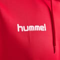 hmlPROMO POLY HOODIE