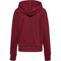 hmlNONI 2.0 HOODIE