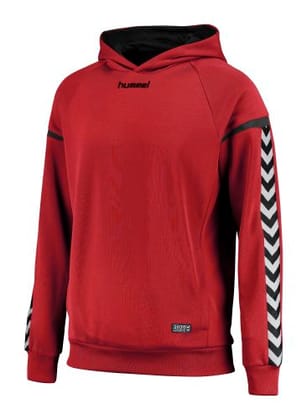 AUTH. CHARGE KIDS POLY HOODIE