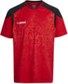 HUMMEL SIRIUS SS JERSEY