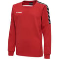 hmlAUTHENTIC KIDS TRAINING SWEAT