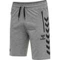 hmlRAY 2.0 SHORTS