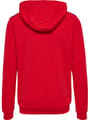 hmlAUTHENTIC PL ZIP HOODIE KIDS