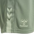 hmlACTIVE PL SHORTS WOMAN
