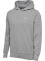 hmlPULSE CO REGULAR SWEAT HOODIE