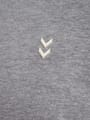 hmlPULSE CO REGULAR SWEAT HOODIE