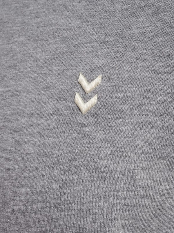 hmlPULSE CO REGULAR SWEAT HOODIE