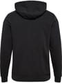 hmlPULSE CO REGULAR SWEAT HOODIE