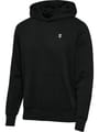 hmlPULSE CO REGULAR SWEAT HOODIE
