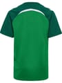 hmlLEAD 2.0 JERSEY S/S KIDS