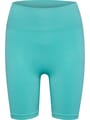 hmlALIVE SEAMLESS HIGH WAIST SHORTS