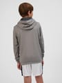 hmlAUTHENTIC PL HOODIE KIDS