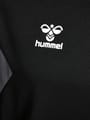 hmlAUTHENTIC PL HOODIE
