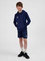 hmlAUTHENTIC PL HOODIE KIDS