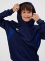hmlAUTHENTIC PL HOODIE KIDS