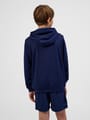 hmlAUTHENTIC PL HOODIE KIDS