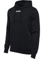 hmlELEMENTAL HOODIE